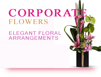 Corporate Banner